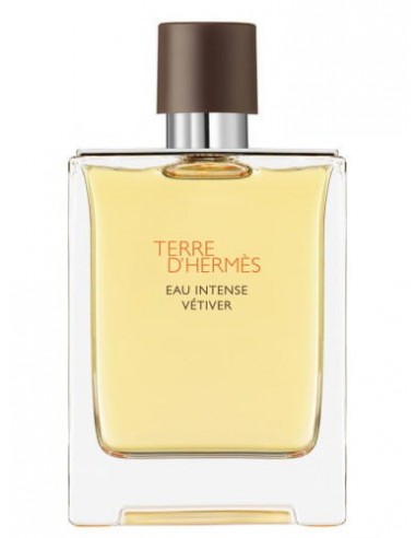 HERMES TERRE D'HERMES INTENSE VETIVER 100ML EDP