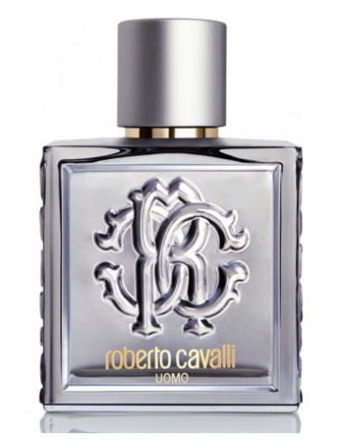 ROBERTO CAVALLI UOMO SILVER ESSENCE 100ML EDP