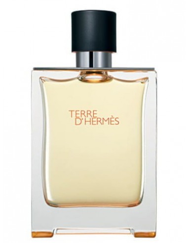 HERMES TERRE D'HERMES 100ML EDT