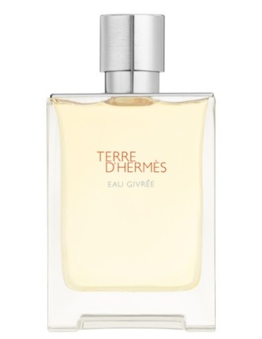 HERMES TERRE DHERMES EAU GIVREE 100 ML EDP